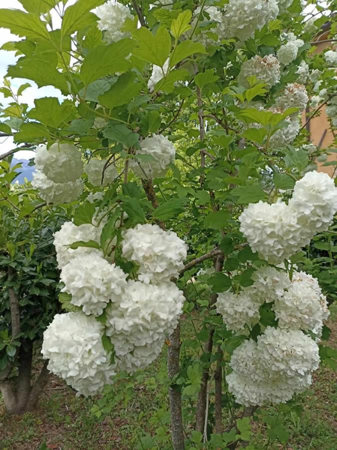 Terra Di Magie Villa Sarnano Dış mekan fotoğraf