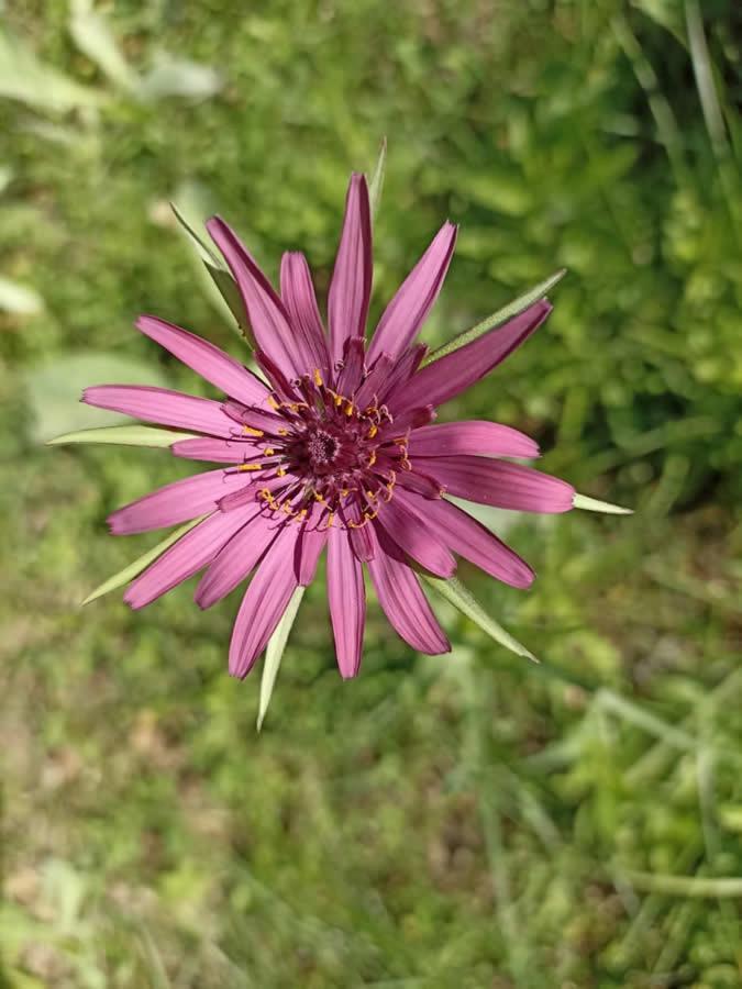 Terra Di Magie Villa Sarnano Dış mekan fotoğraf