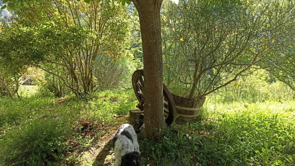 Terra Di Magie Villa Sarnano Dış mekan fotoğraf