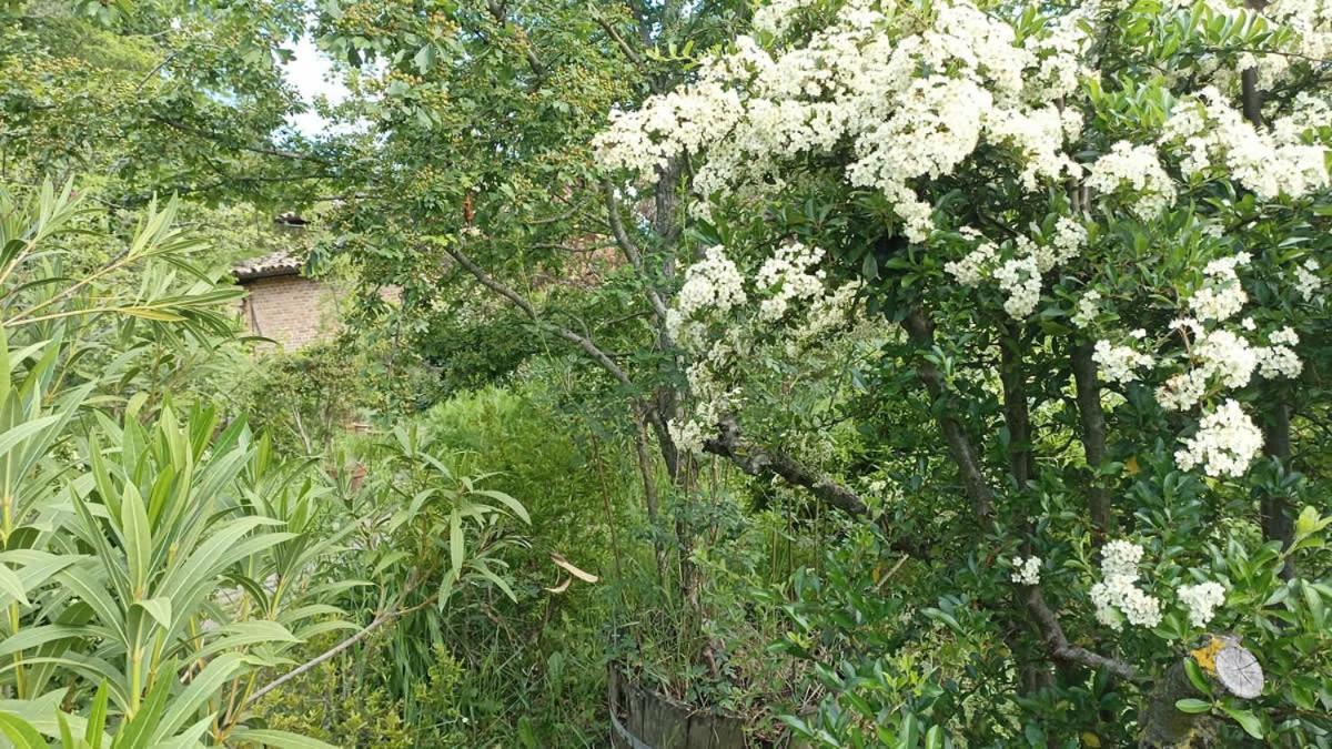 Terra Di Magie Villa Sarnano Dış mekan fotoğraf